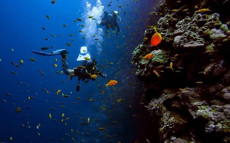 Diving