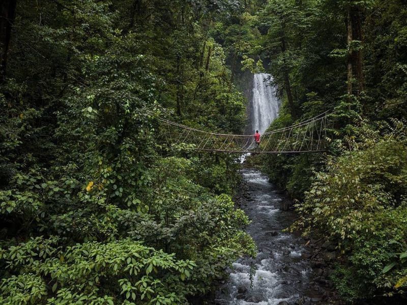 Costa Rica, un lugar verde