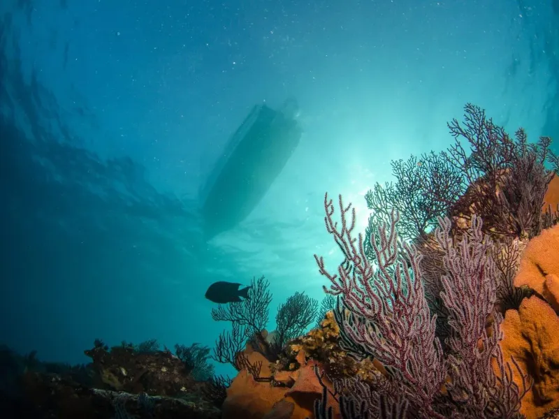 Costa Rica – Dive into Paradise